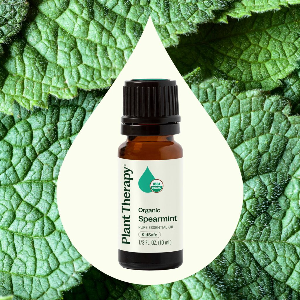 有機綠薄荷精油｜Plant Therapy 10ml 產品圖 2