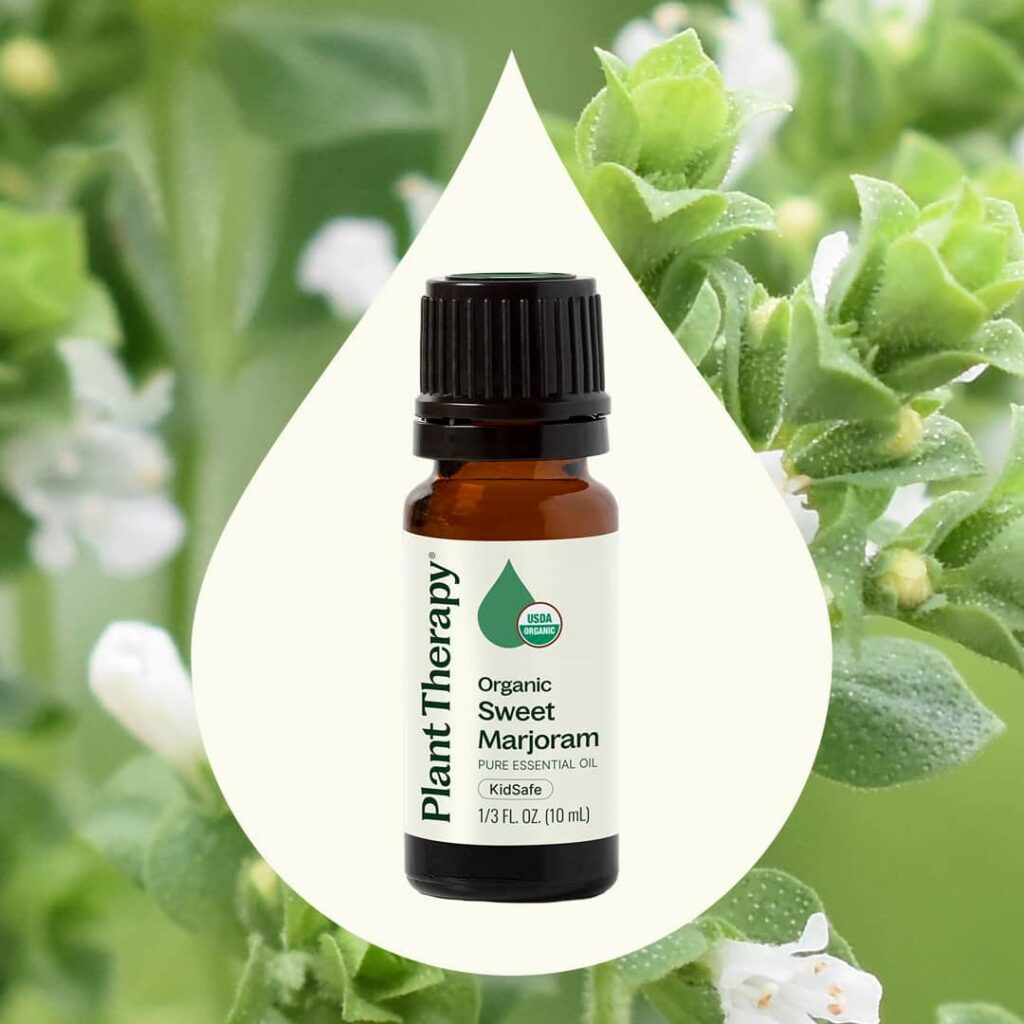 有機馬鬱蘭精油|Plant Therapy 10ml 產品圖 2