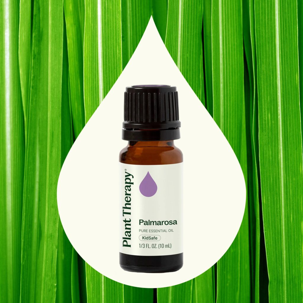 玫瑰草精油|Plant Therapy - 10ml 產品圖 2