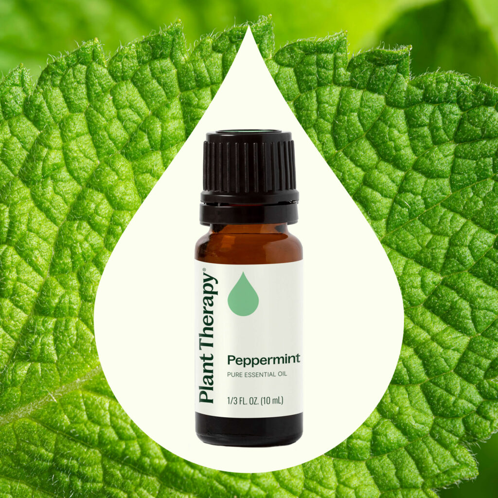 胡椒薄荷精油｜Plant Therapy 10ml 產品圖 2