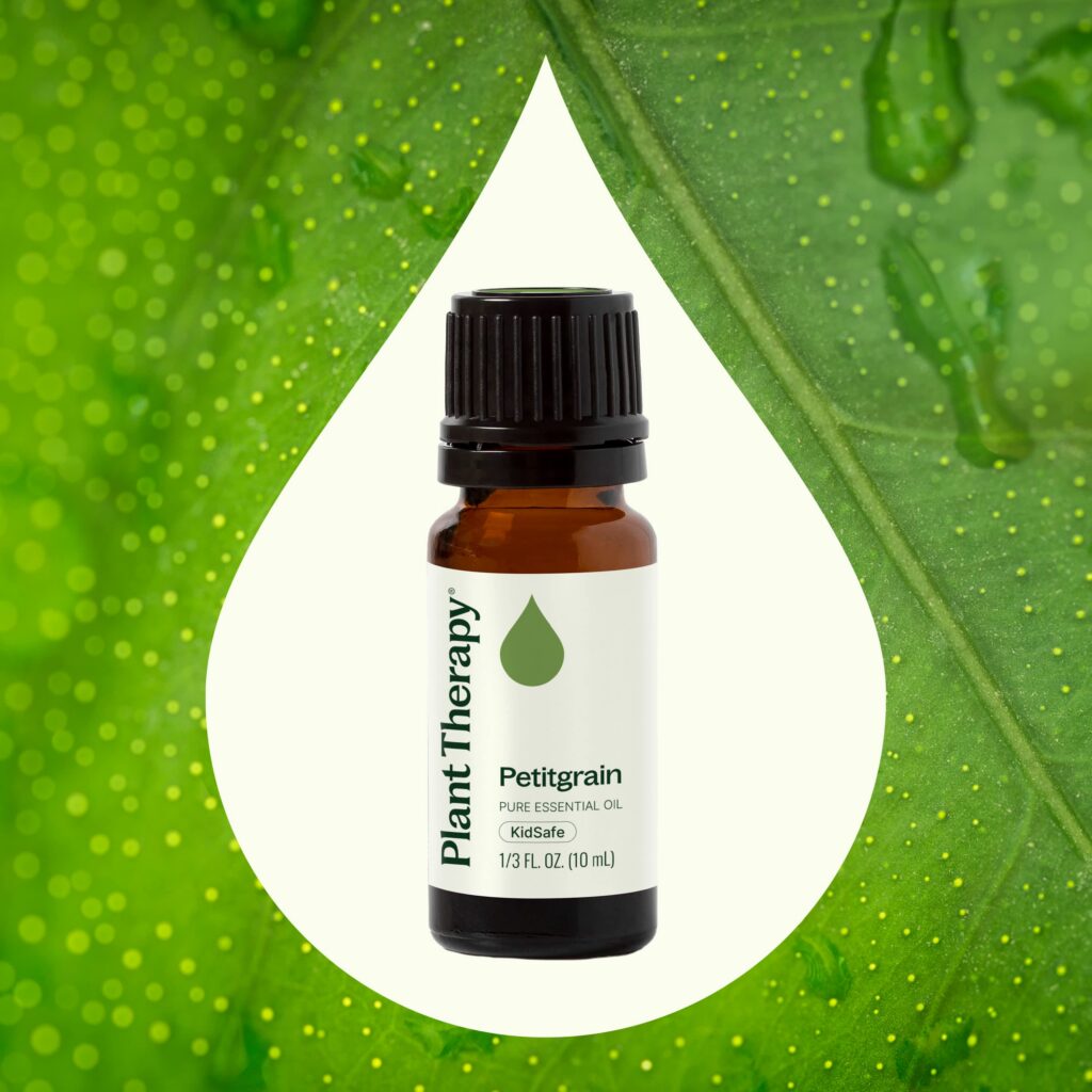 苦橙葉精油|Plant Therapy - 10ml 產品圖 2