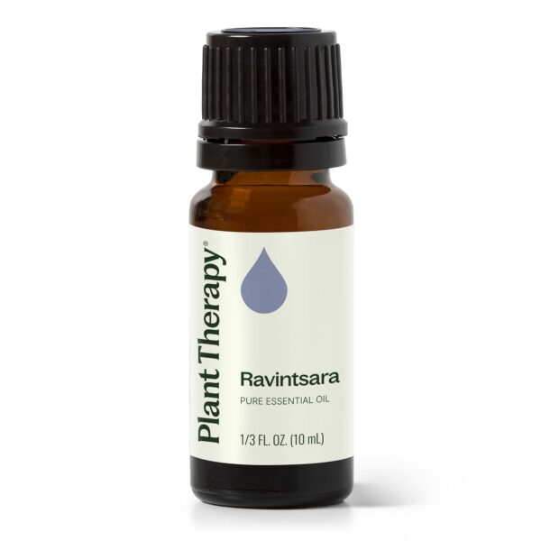 桉油樟精油(羅文莎葉)｜Plant Therapy - 10ml