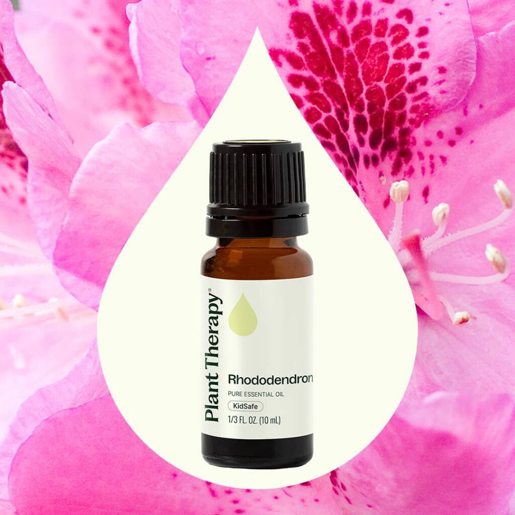 髯花杜鵑精油|Plant Therapy - 10ml 產品圖 2
