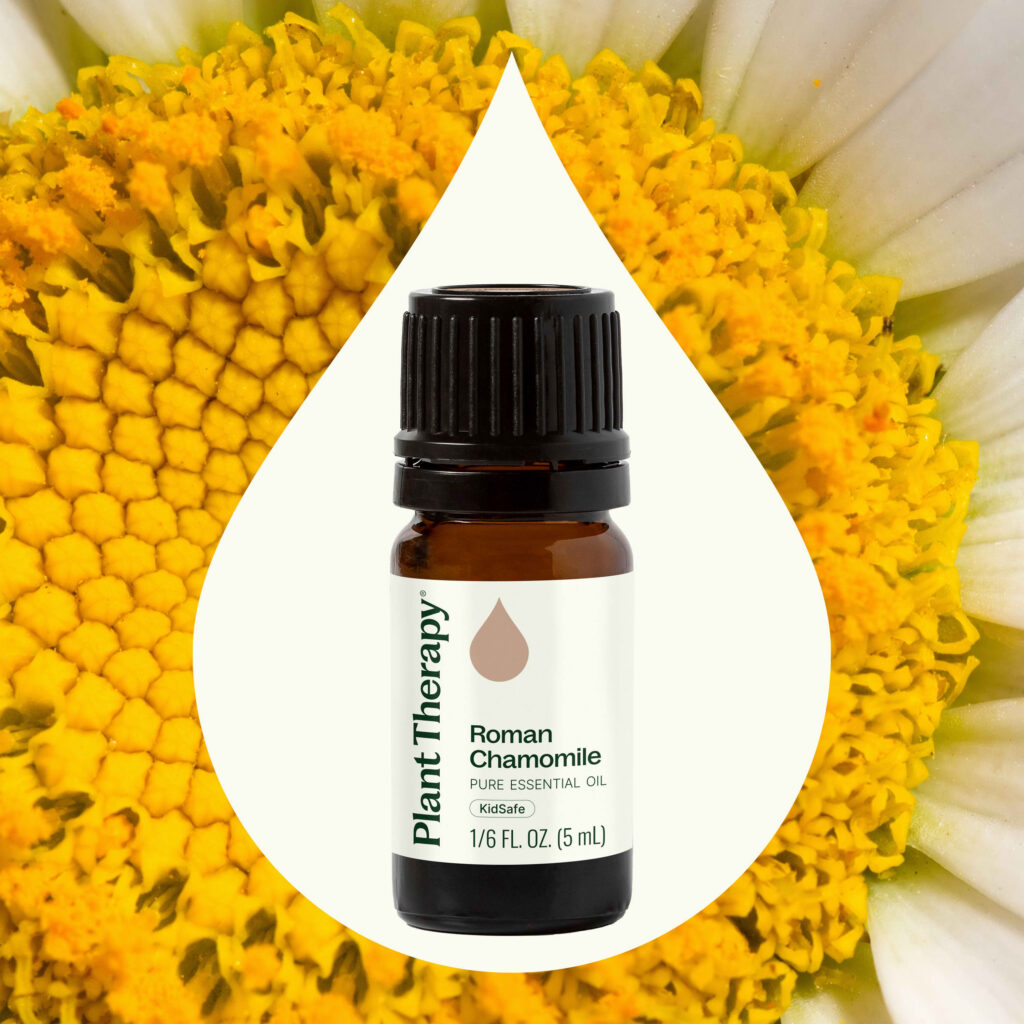 羅馬洋甘菊精油|Plant Therapy 5ml 產品圖 2