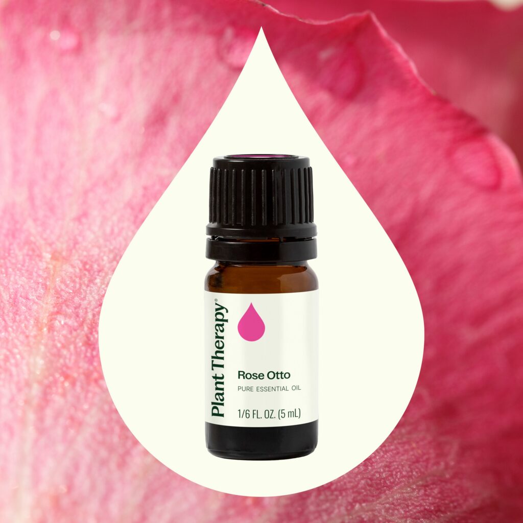 奧圖玫瑰精油|Plant Therapy - 5ml 產品圖 2