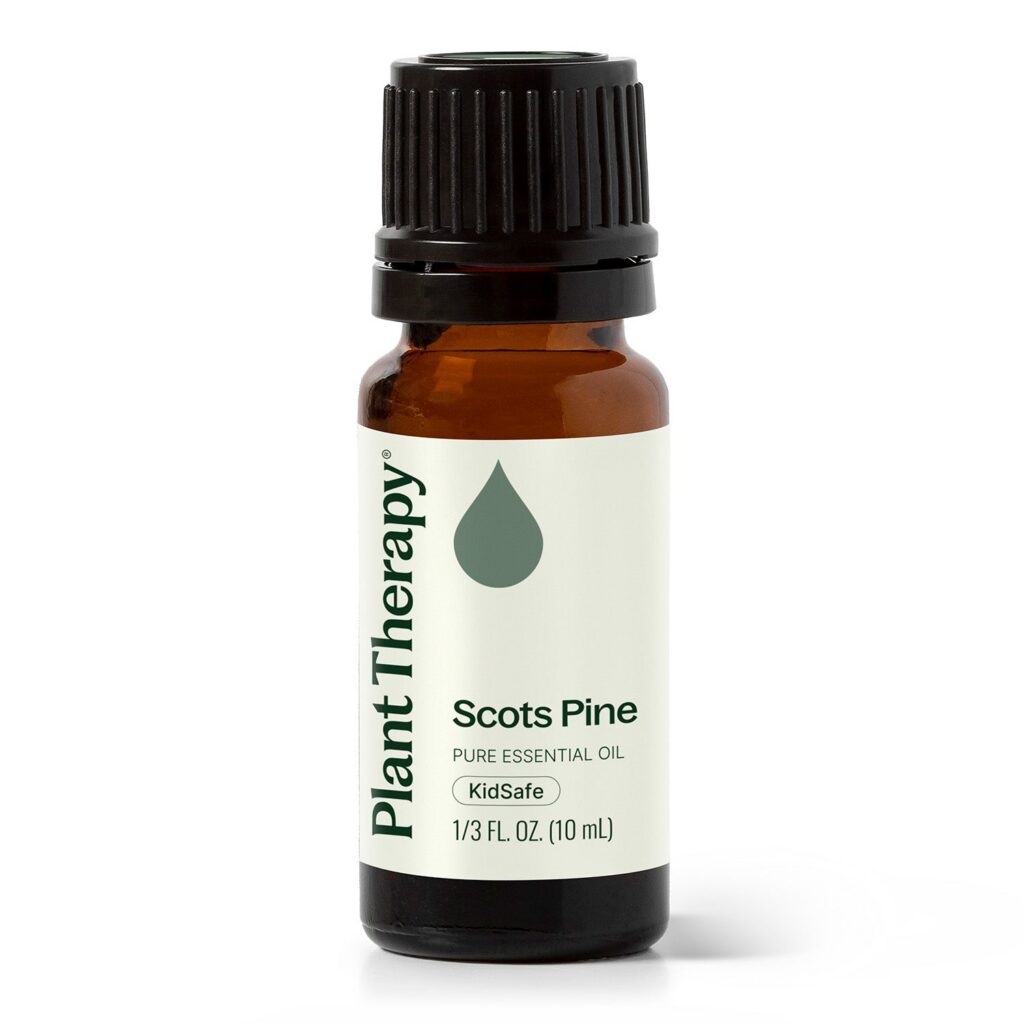歐洲赤松精油｜Plant Therapy - 10ml