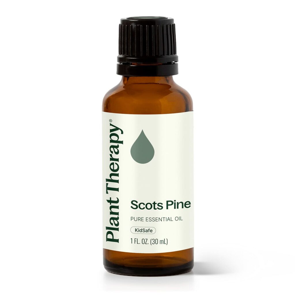 歐洲赤松精油｜Plant Therapy - 30ml