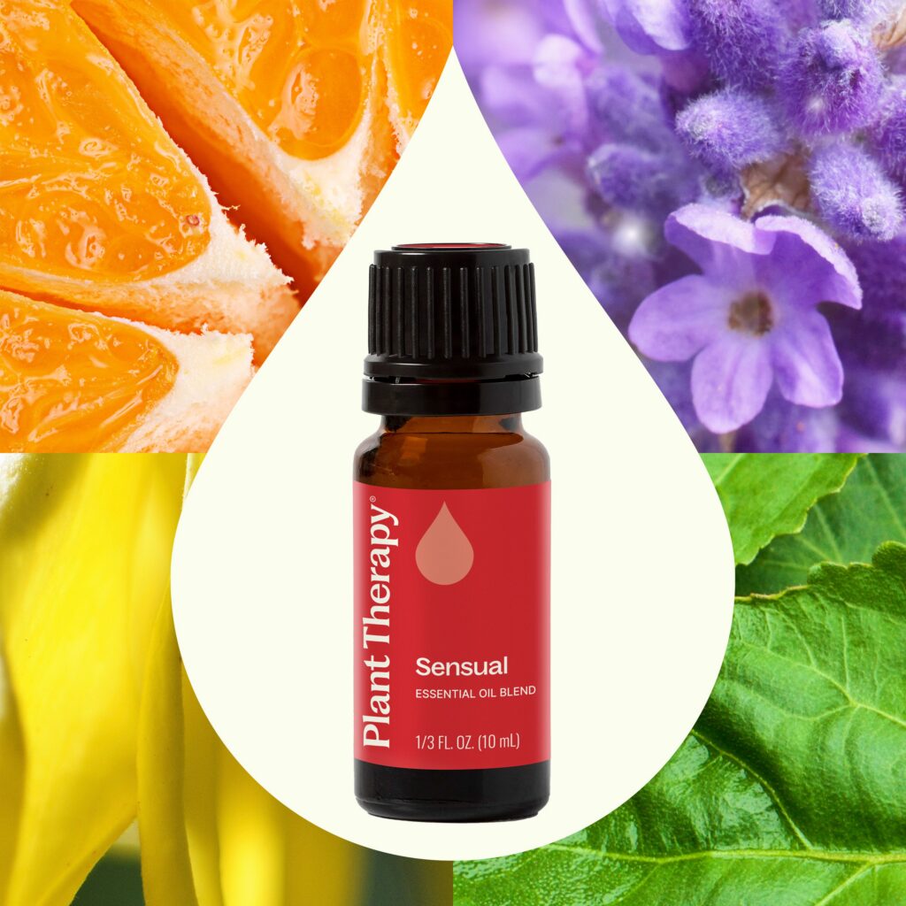 浪漫性感複方精油｜Plant Therapy 10ml 產品圖 2