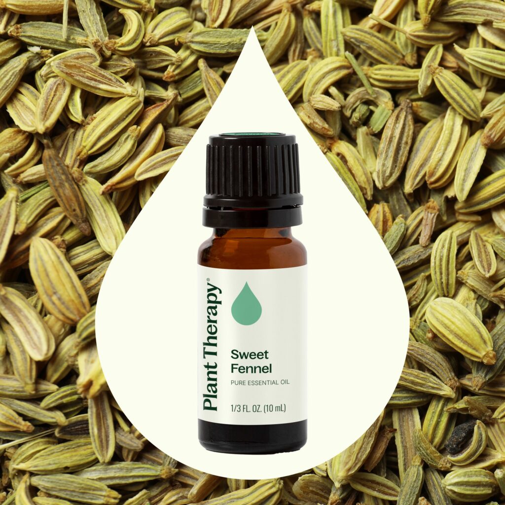 甜茴香精油|Plant Therapy - 10ml 產品圖 2