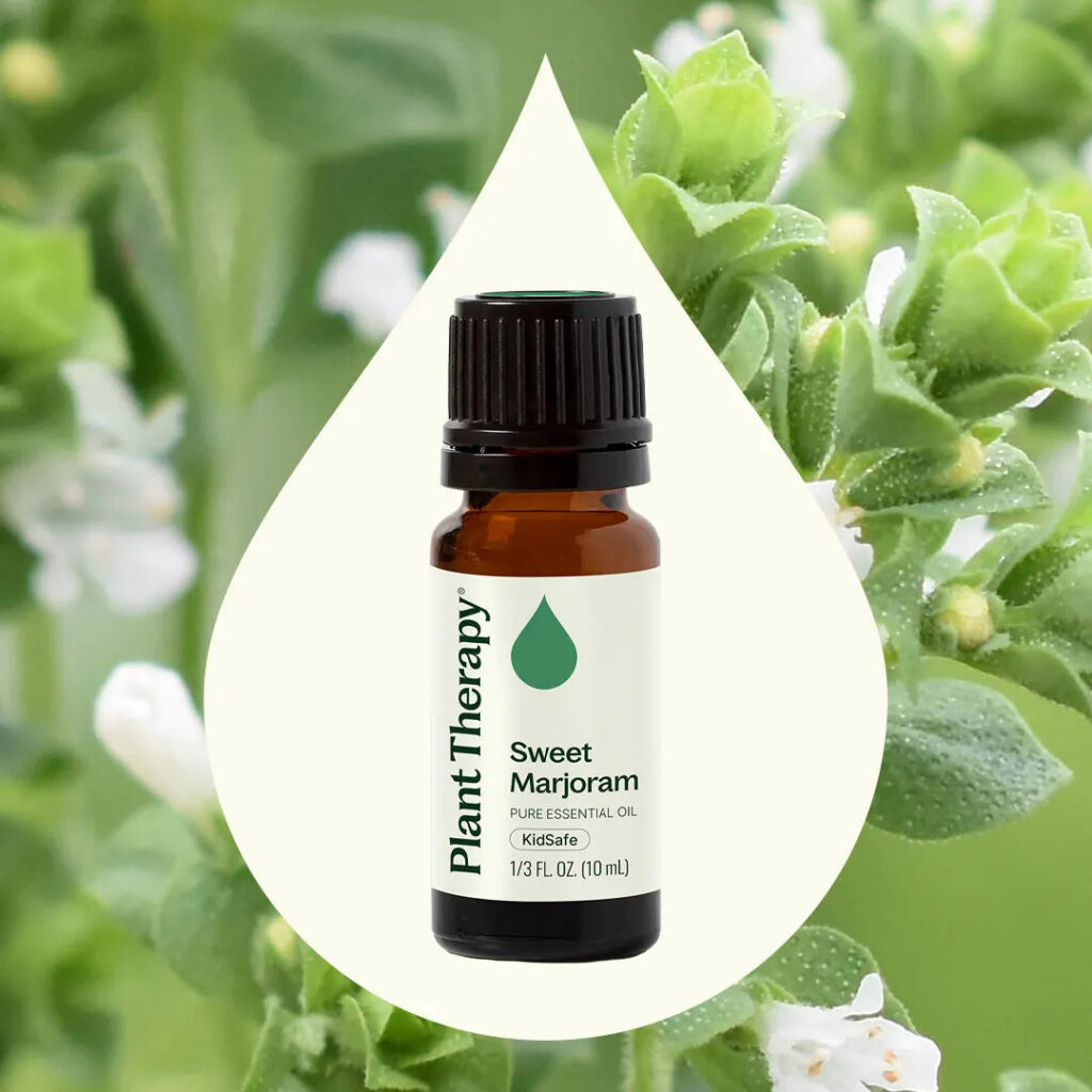 馬鬱蘭精油|Plant Therapy 10ml 產品圖 2