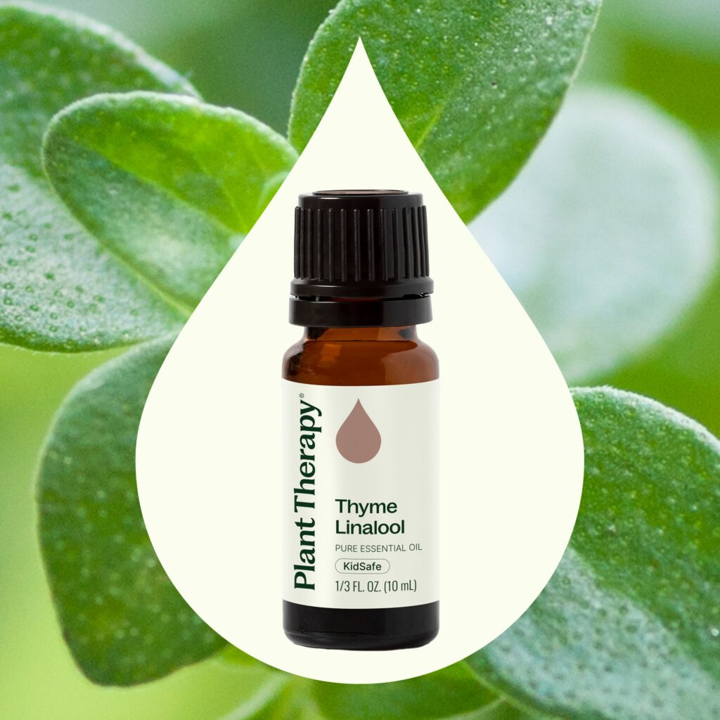 沉香醇百里香精油|Plant Therapy 10ml 產品圖 2