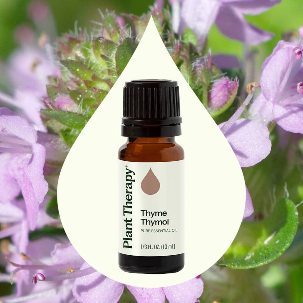 百里酚百里香精油|Plant Therapy 10ml 產品圖 2