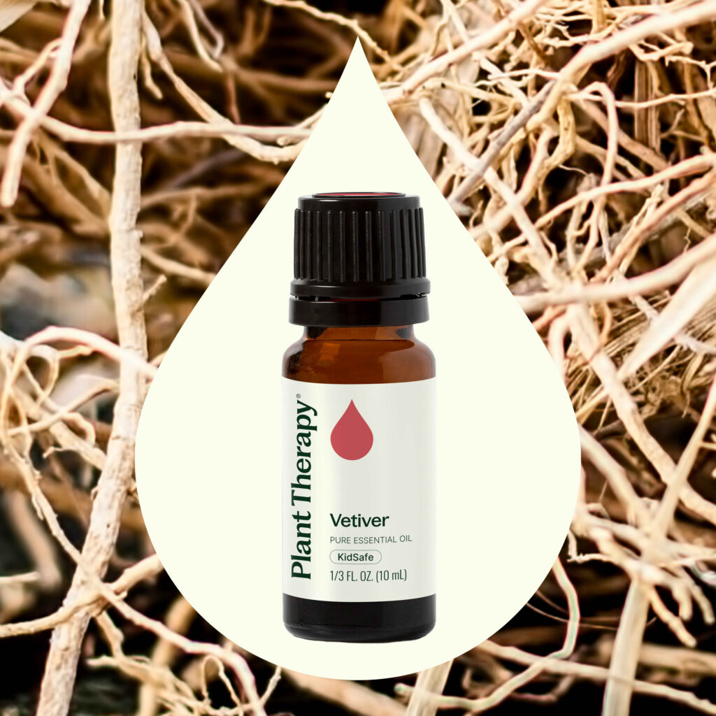 岩蘭草精油|Plant Therapy 10ml 產品圖 2