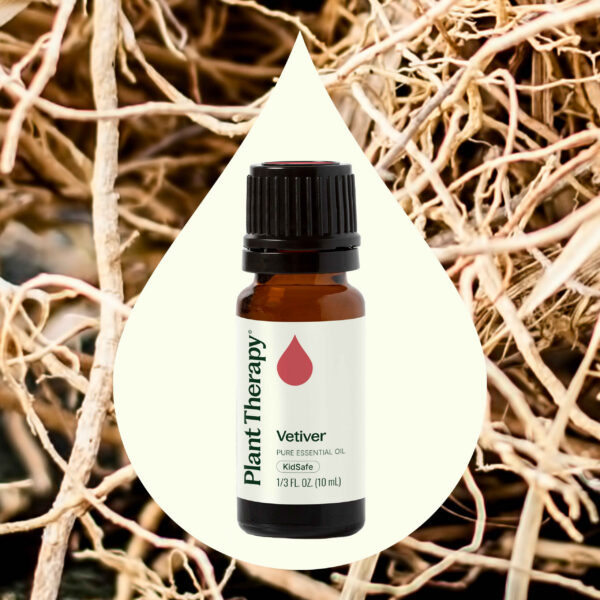 岩蘭草精油｜Plant Therapy 10ml 產品圖 2