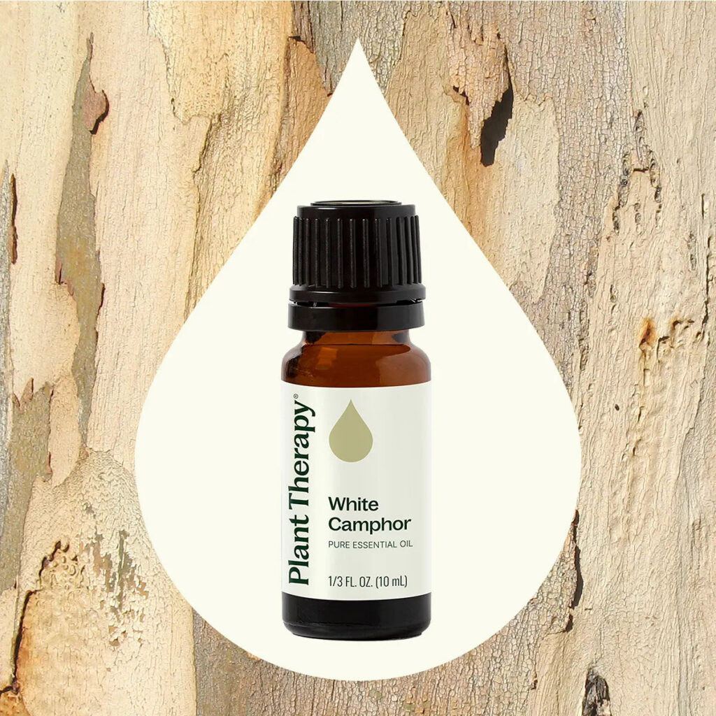 樟樹精油|Plant Therapy 10ml 產品圖 2