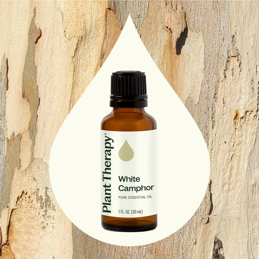 樟樹精油|Plant Therapy 30ml 產品圖 4