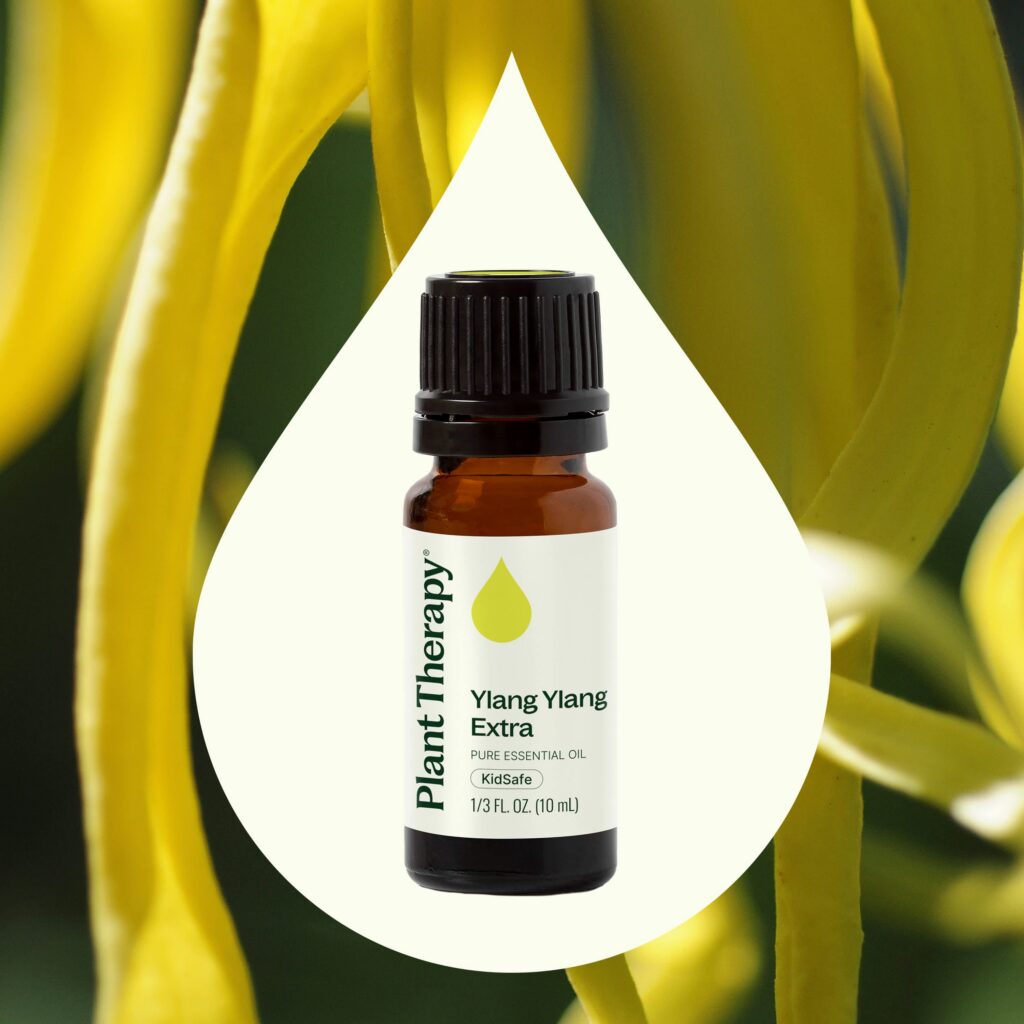特級依蘭精油｜Plant Therapy 10ml 產品圖 2