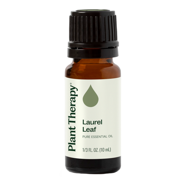 月桂葉精油|Plant Therapy - 10ml