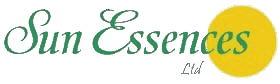 SE 品牌 logo