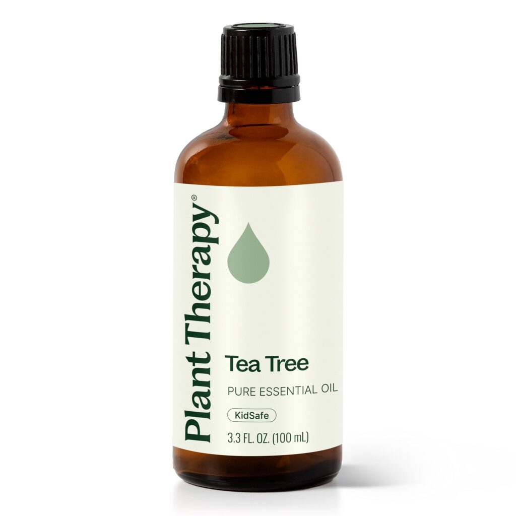 茶樹精油|Plant Therapy - 100ml
