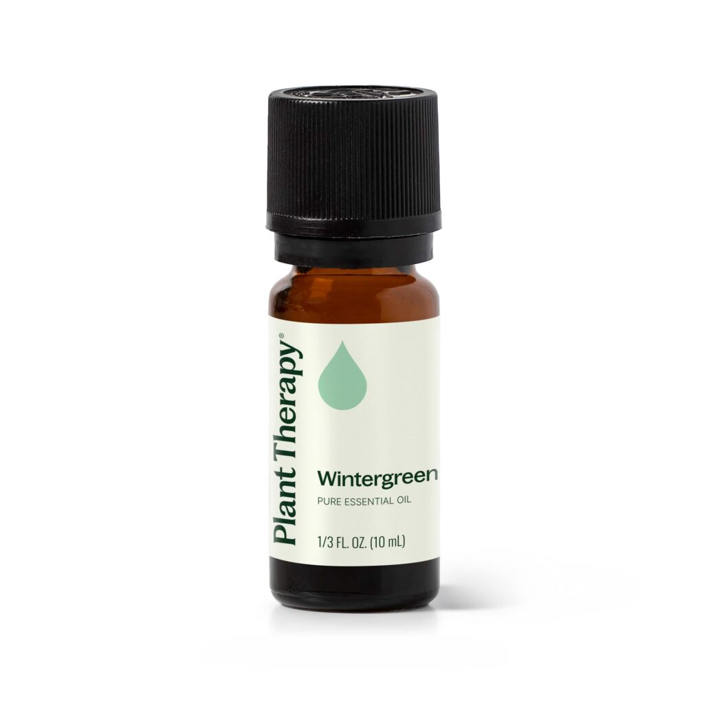 白珠樹 ( 冬青 ) 精油｜Plant Therapy - 10ml