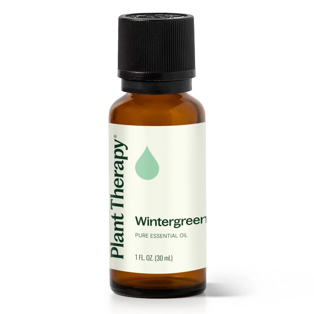 白珠樹 ( 冬青 ) 精油｜Plant Therapy - 30ml