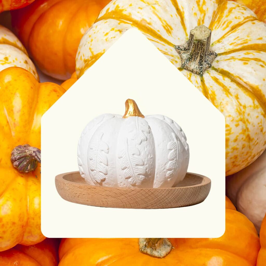 CopyofPumpkin passive diffuser