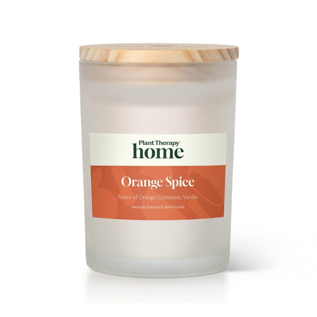 Orange Spice Candle