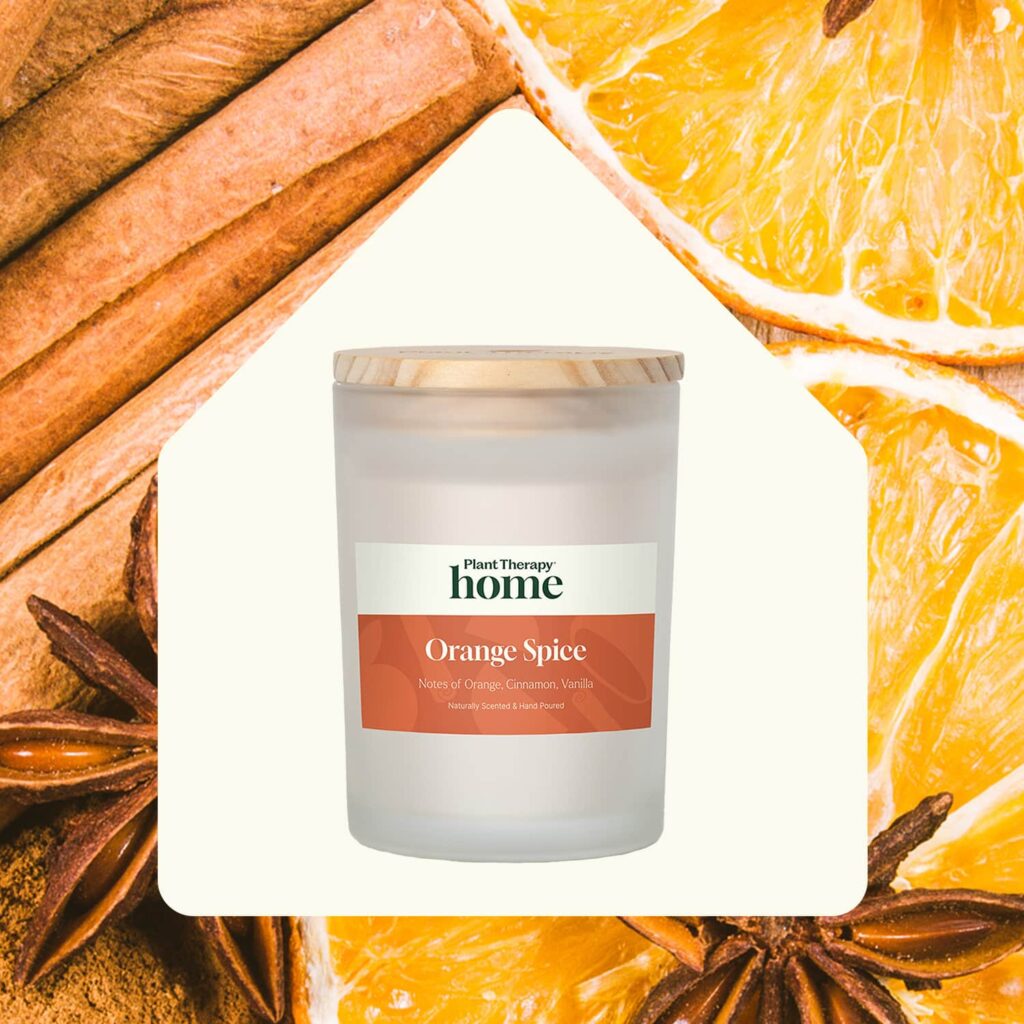 Orange Spice Candle Product Image