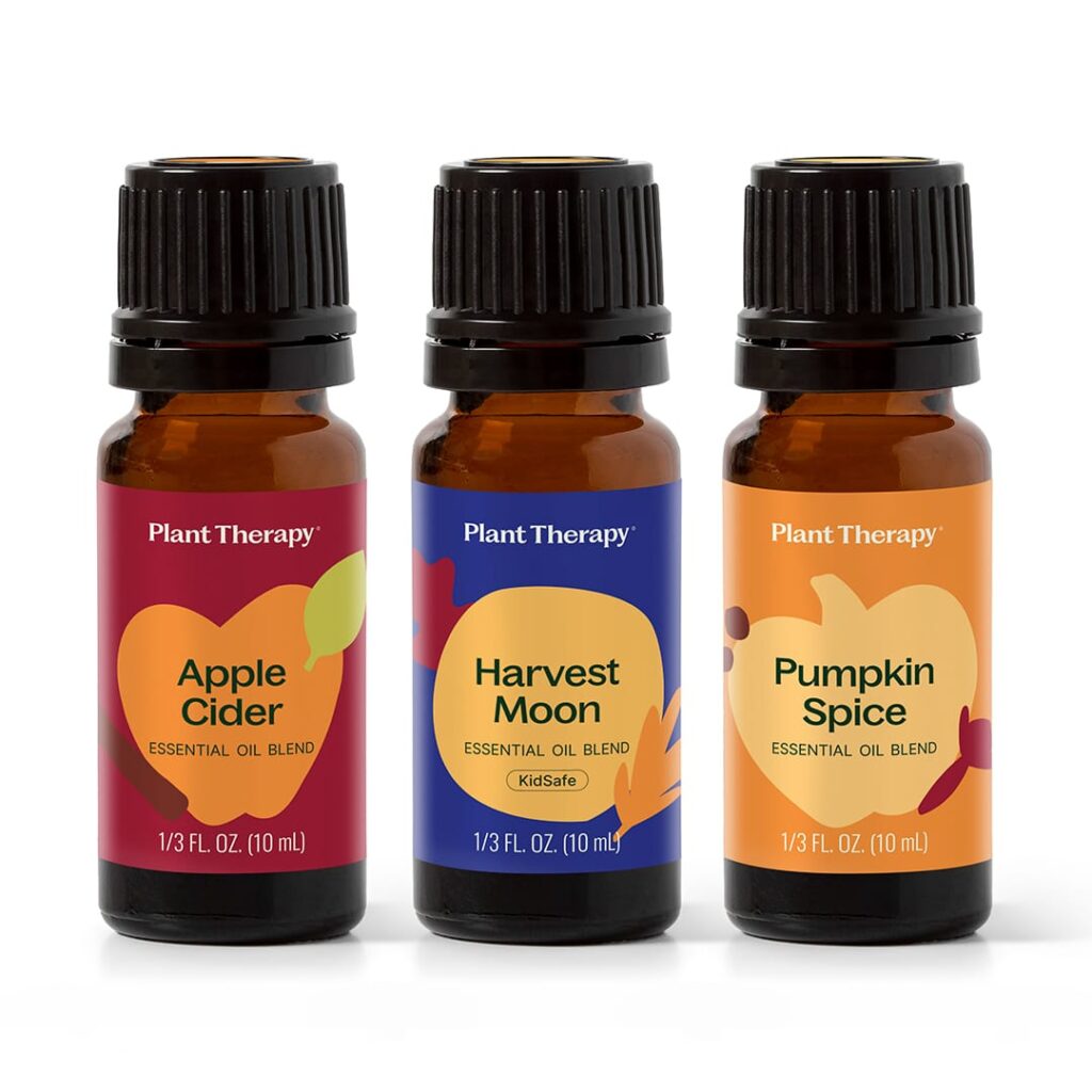 Pumpkin Harvest Set ISO