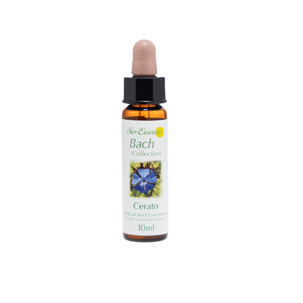 水蕨花精 10ml 產品照