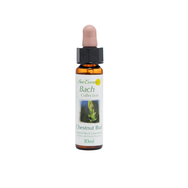 栗苞花精 10ml 產品照
