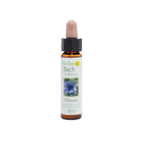 菊苣花精 10ml 產品照