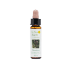 龍膽花精 10ml 產品照