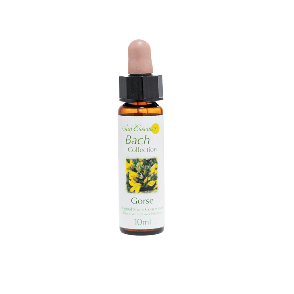 荊豆花精 10ml 產品照
