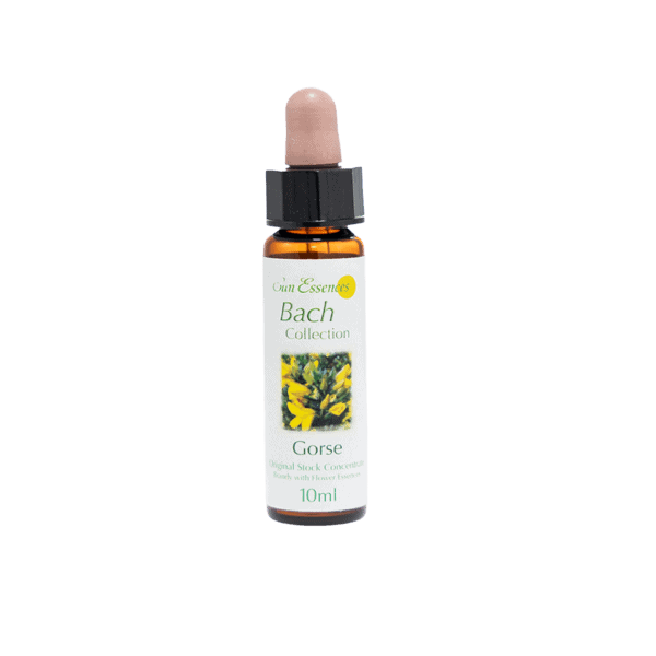 荊豆花精 10ml 產品照