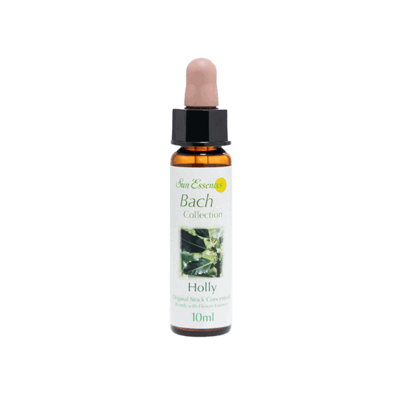冬青花精 10ml 產品照 2