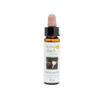 忍冬花精 10ml 產品照