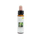 鵝耳櫪花精 10ml 產品照