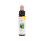 橄欖花精 10ml 產品照