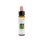 松樹花精 10ml 產品照