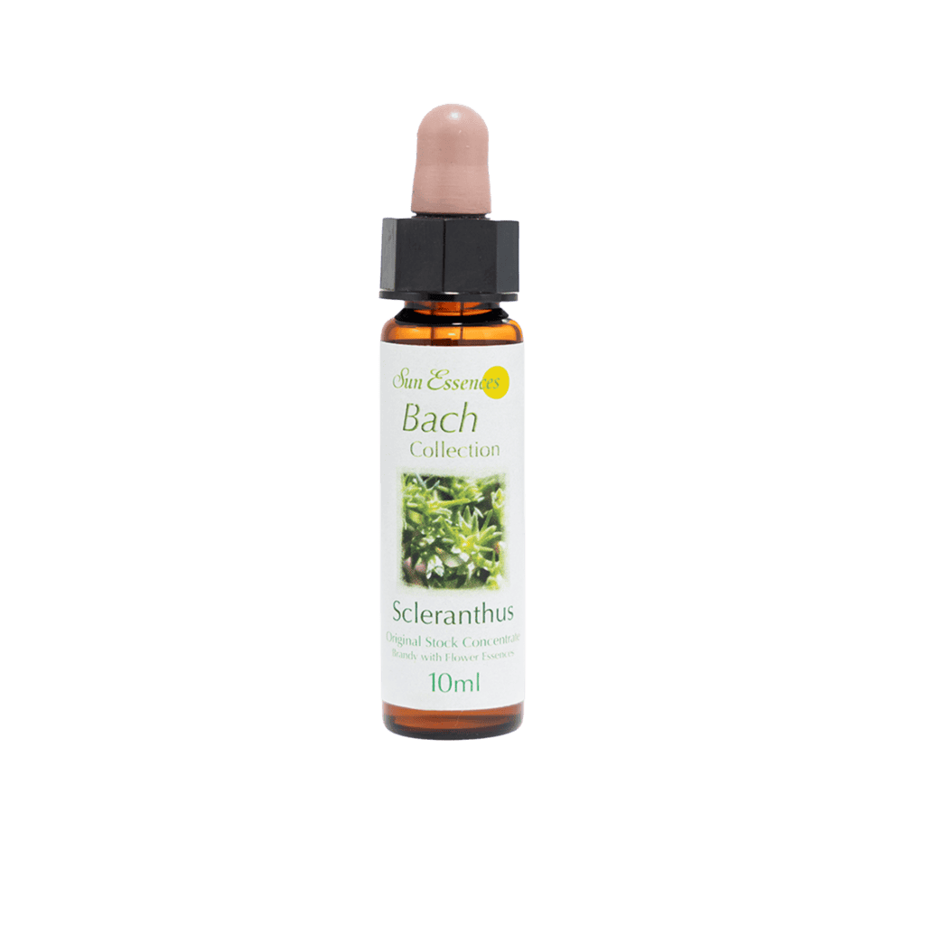 線球草花精 10ml 產品照