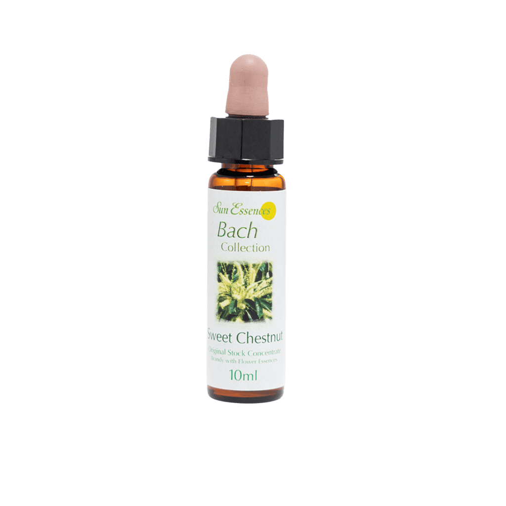 甜栗花精 10ml 產品照