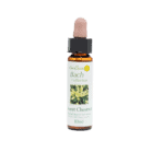 甜栗花精 10ml 產品照