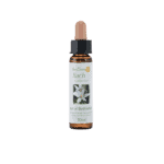 聖星百合花精 10ml 產品照
