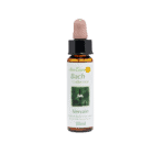 馬鞭草花精 10ml 產品照