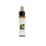 胡桃花精 10ml 產品照