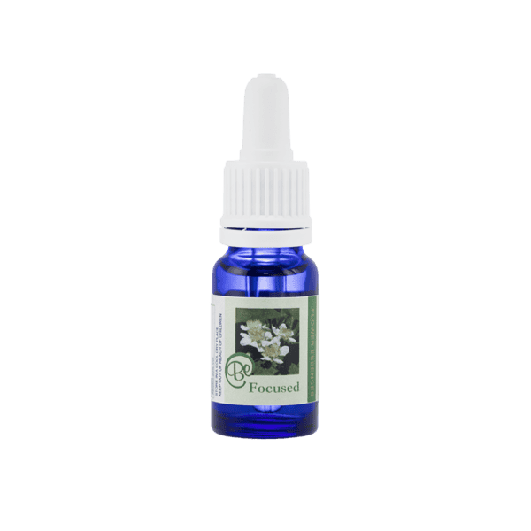 保持專注存在花精 10ml 產品照