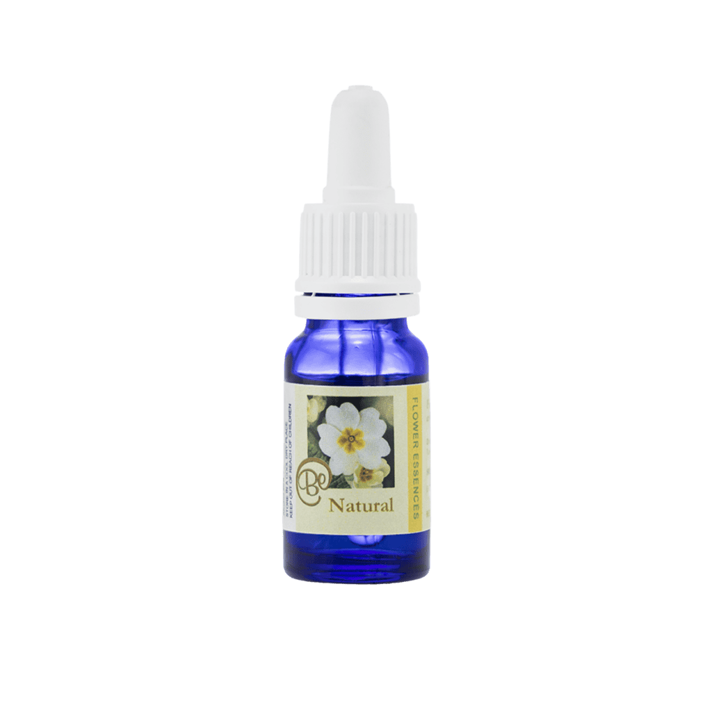 活在當下存在花精 10ml 產品照