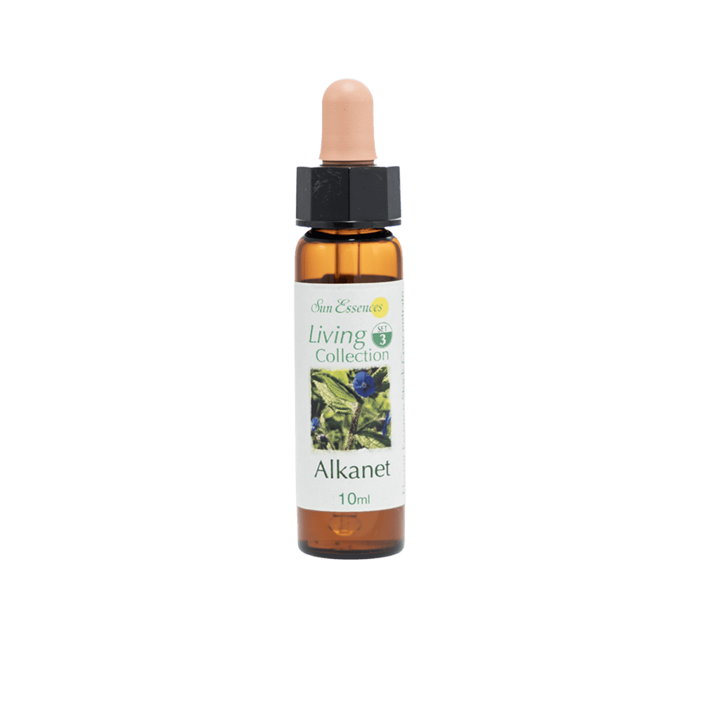 朱草花精 10ml 產品照